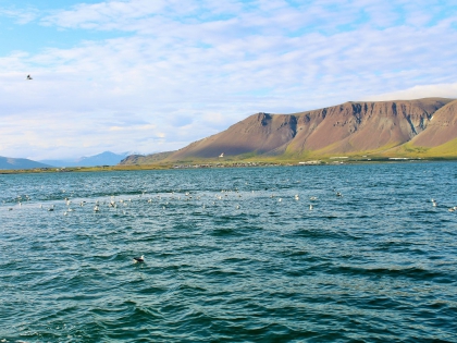 морская рыбалка в Исландии, фото Стасмир, photo Stasmir