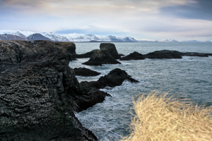 Seashore