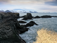 seashore800_img_1729