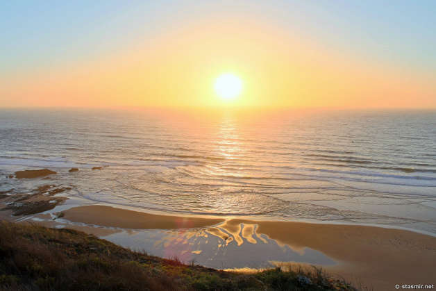 Vicentina
