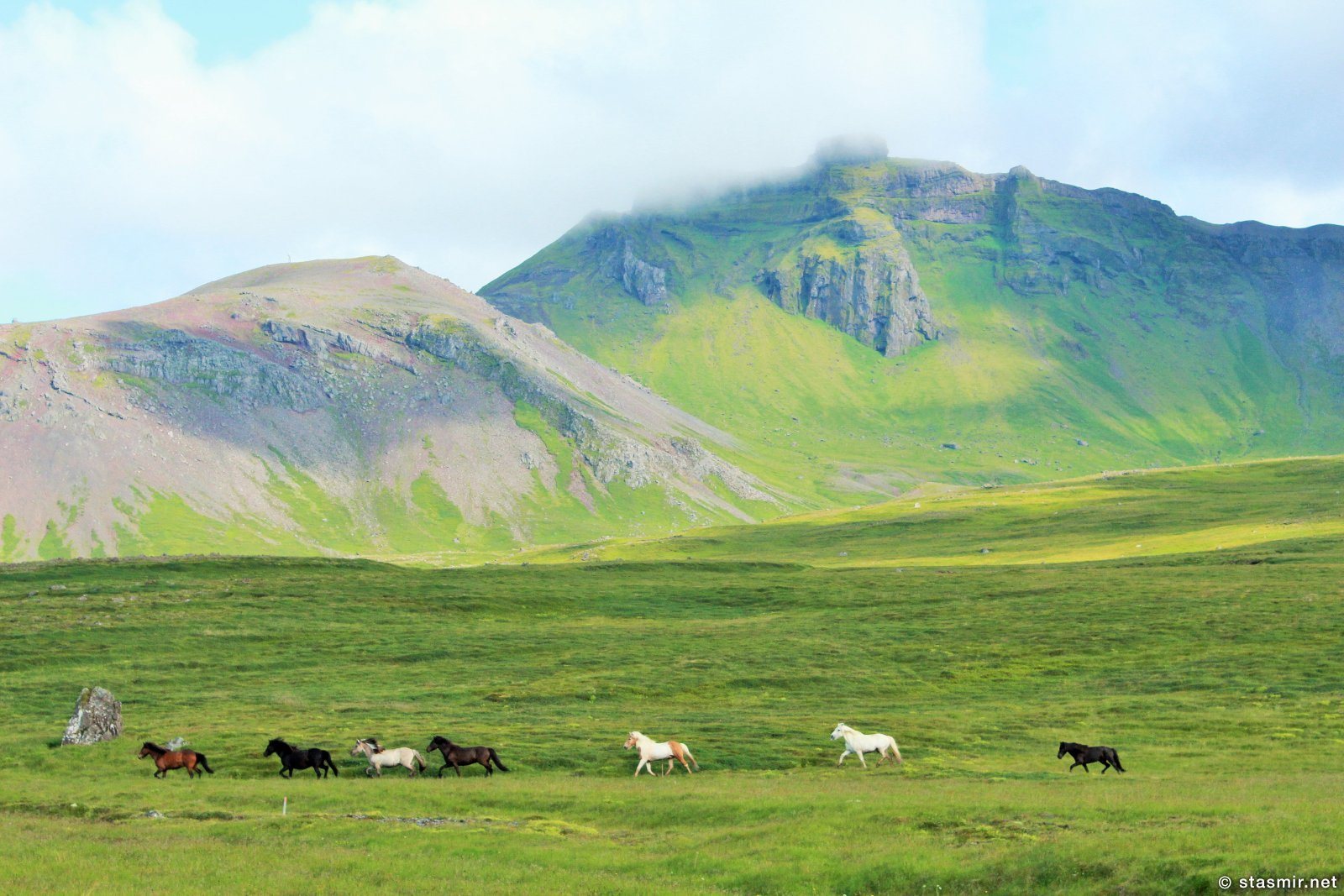 исландские лошадки, полуостров снайфедльснес, Западная Исландия, Photo Stasmir