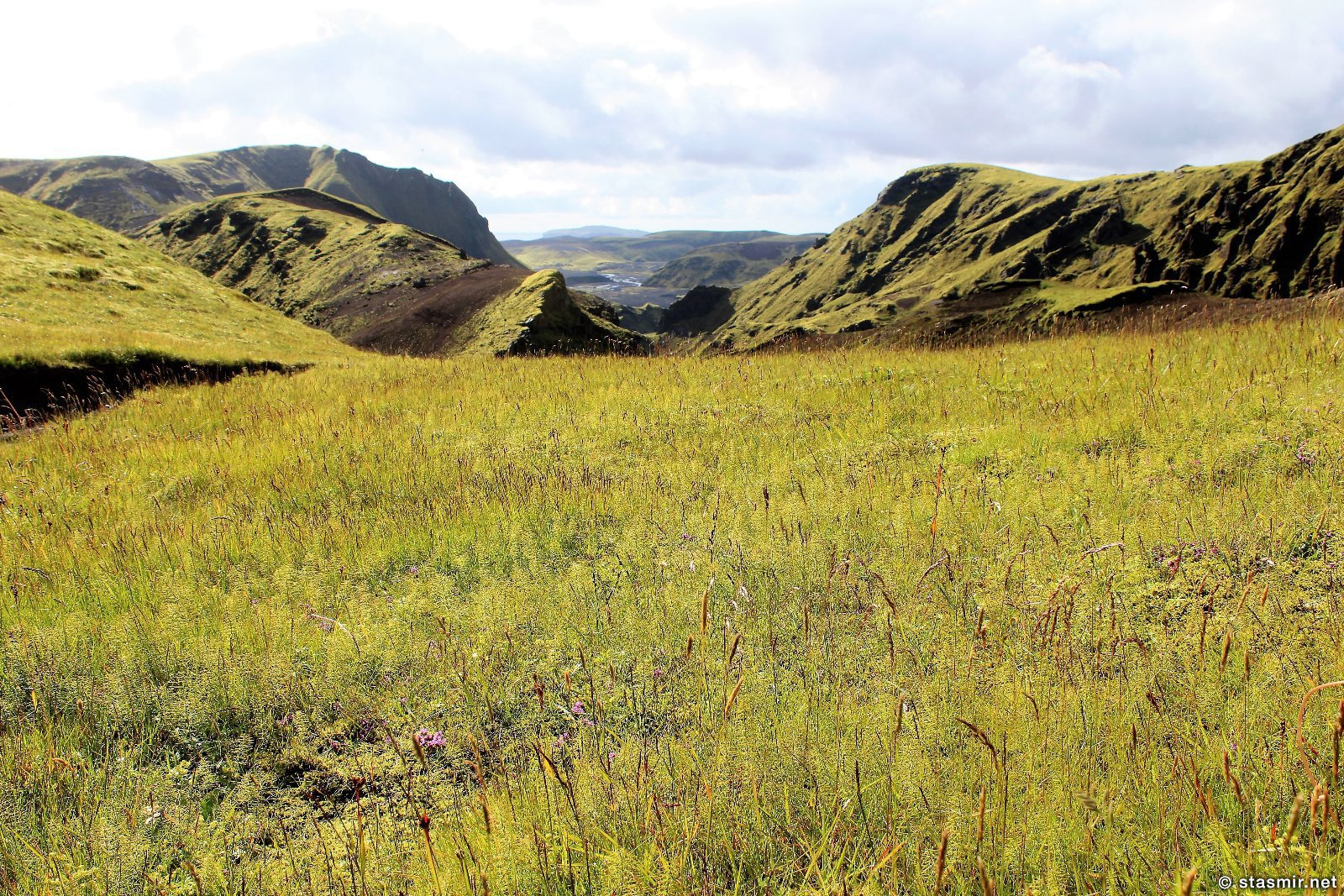 зеленые луга по маршруту Такгил, Такгиль, Þakgíl, фото Стасмир, photo Stasmir