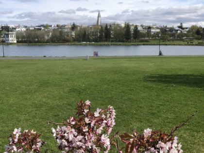 городской пруд Тьёрнин в центре Рейкьявика, фото Стасмир, photo Stasmir