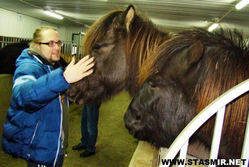 horse powers