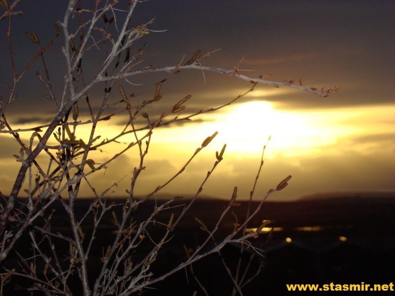 sunset at fridheimar