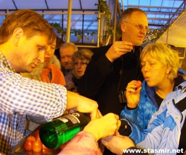 tomato schnaps trinken