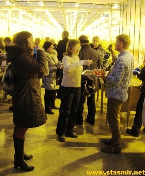 walking in the veggie wonderland
