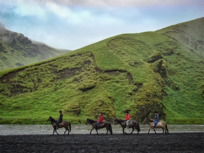 исландская лошадка, фото Стасмир, photo Stasmir