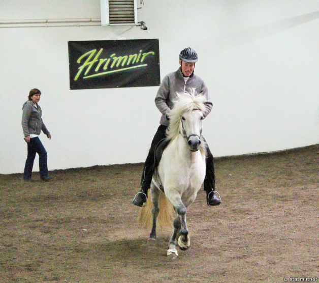 horse show