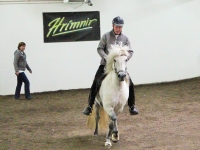 horse show