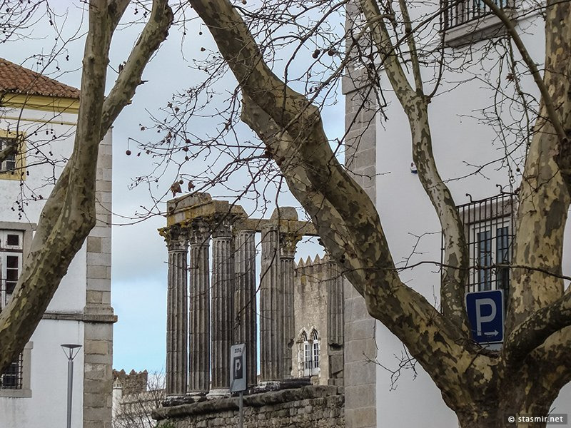 Evora