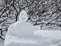 snowman, снеговик, снежная баба, Snjókarl