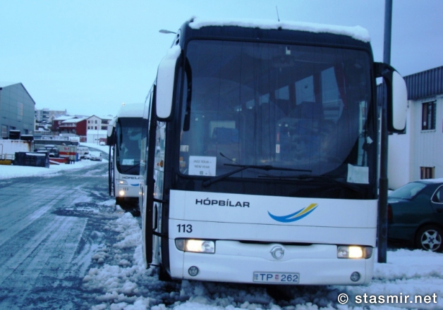 white-blue-bus