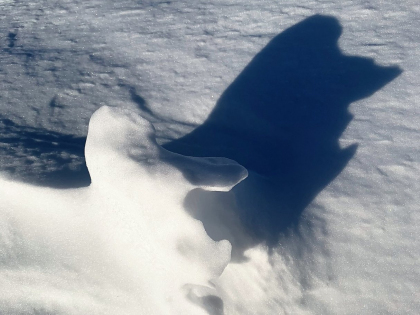Снежный чудик в Исландии, фото Стасмир, photo Stasmir