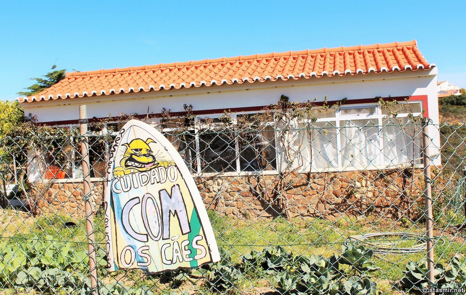 серфисты, Кошта висентина, Кошта-Висентина, Parque Natural do Sudoeste Alentejano e Costa Vicentina, Португалия, Photo Stasmir, фото Стасмир