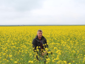 Стасмир, Торвальдсэйри (Thorvaldseyri)