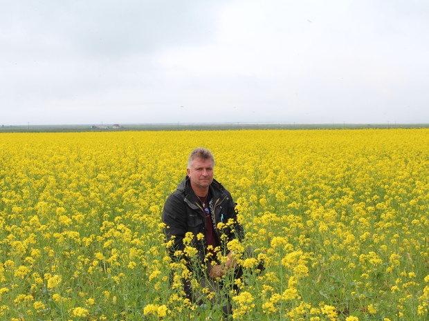 Стасмир, Торвальдсэйри (Thorvaldseyri)