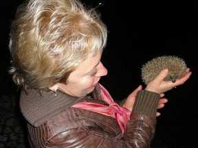 Света и ежик, Португалия