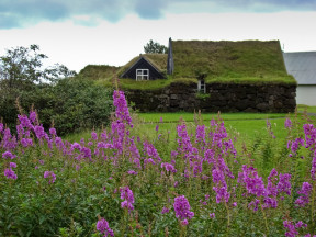 краеведческий музей в местечке Скоугар (Skógar)
