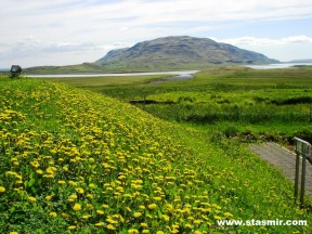 Исландия, Скаухольт