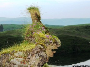 Исландия, виды