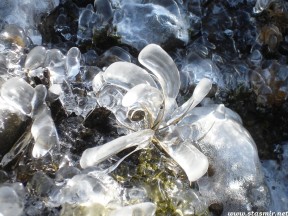 сосуля, Исландия