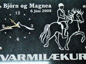 Вармлайкюр, Исландия, коневодство