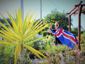 Исландский флаг реет на юге