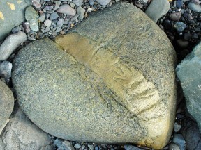 Сердце, как исландский камень