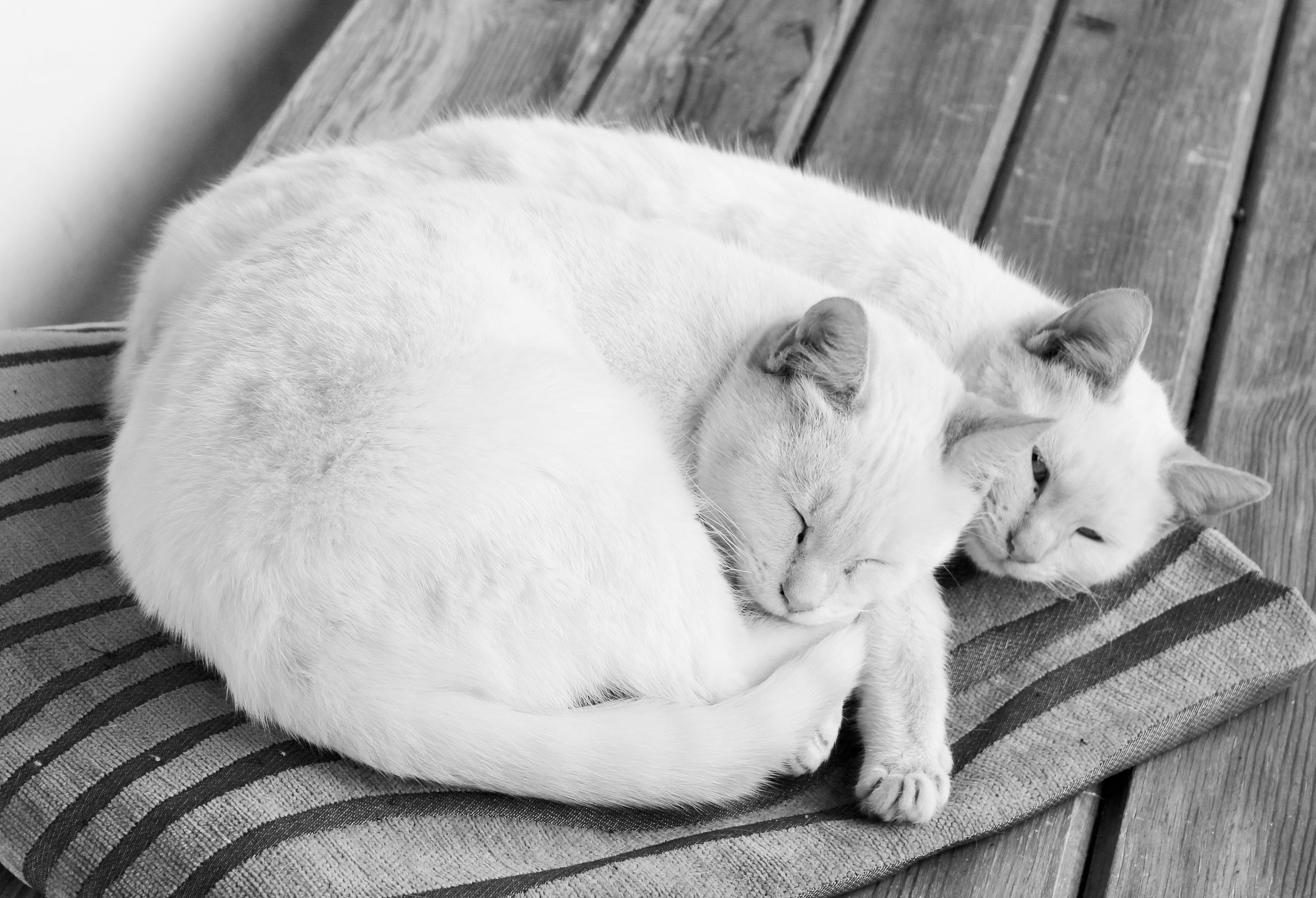 Дни недели в разных культурах | Stasmir