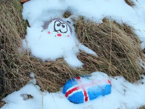 исландский флаг на снегу