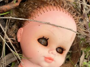 photo Stasmir, фото Стасмир