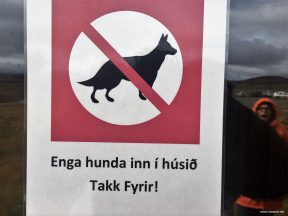 Вывеска С собаками негоже. Кедлингарфьёдль в Исландии. Фото Стасмир. Photo Stasmir