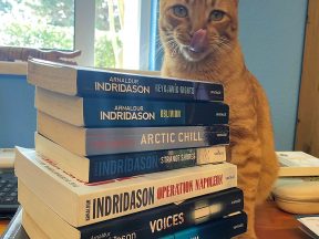 котик и собрание сочинений Арнальдюра Индридасона, фото Стасмир, Photo Stasmir, Arnaldur Indridason's books and a cute cat