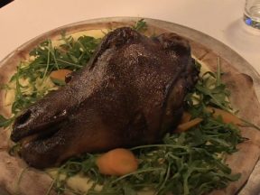 Pic from Visir and Olverk