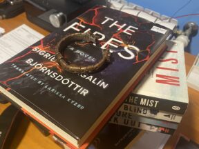 Книги исландский нуар, фото Стасмир, photo Stasmir